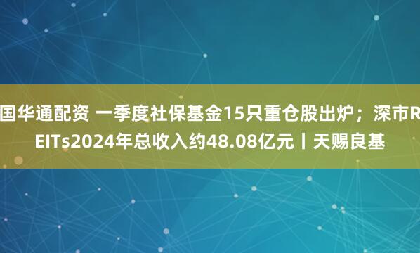 国华通配资 一季度社保基金15只重仓股出炉；深市REITs2024年总收入约48.08亿元丨天赐良基