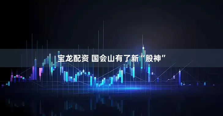 宝龙配资 国会山有了新“股神”