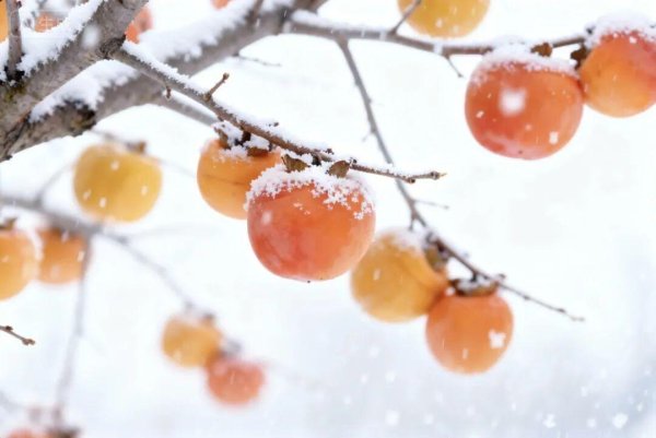 宏粤配资 为什么有人一冬天都不生病？小雪养生守住这“三点”，一冬病不沾！