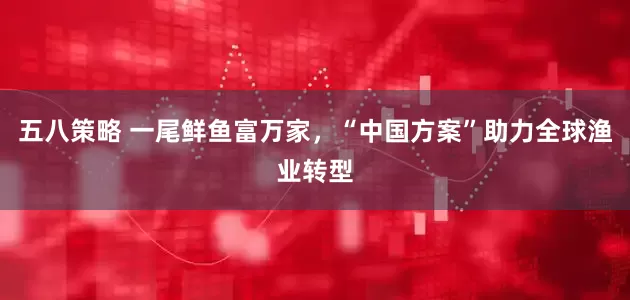 五八策略 一尾鲜鱼富万家，“中国方案”助力全球渔业转型