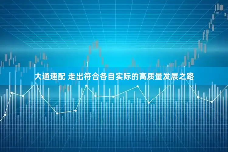 大通速配 走出符合各自实际的高质量发展之路